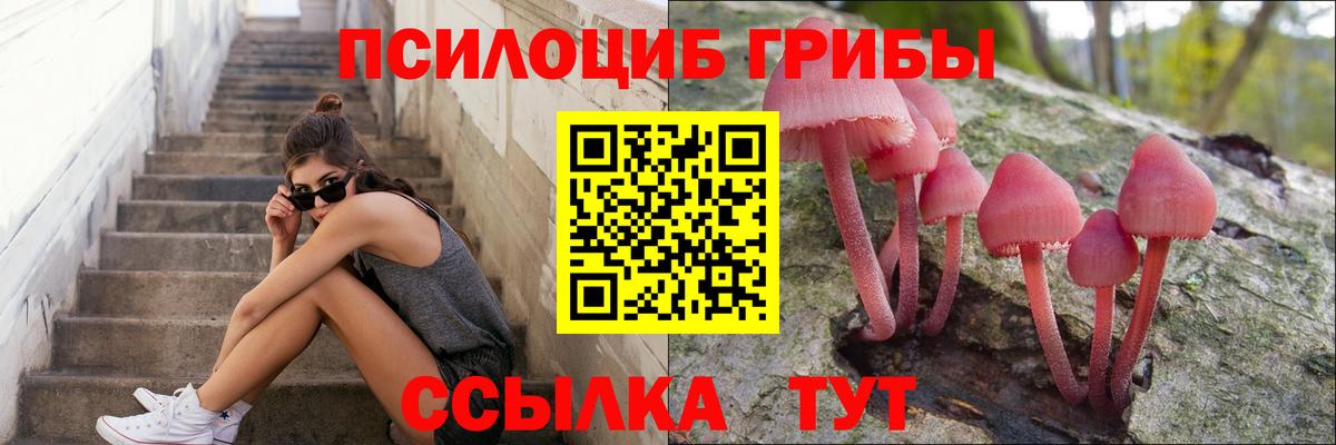 Новороссийск  Галлюциногенные грибы ЛСД  Вход с VPN  Галлюциногенные грибы мицелий 
